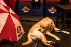 42452982_10210226552860341_4772219711129649152_n